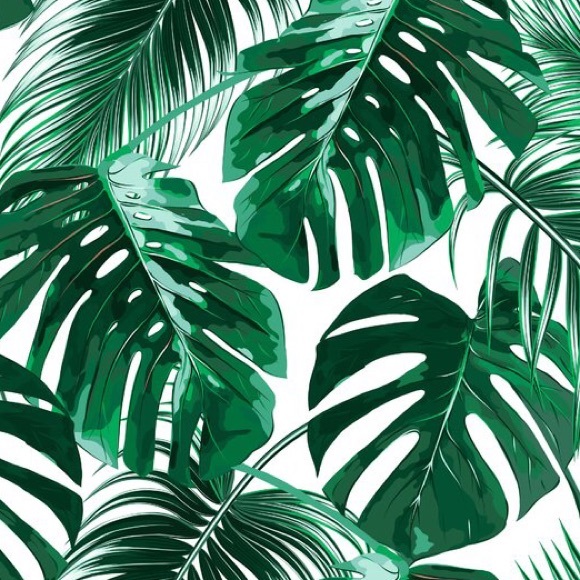 Welcome to my closet! 📦 - Picture 4 of 6